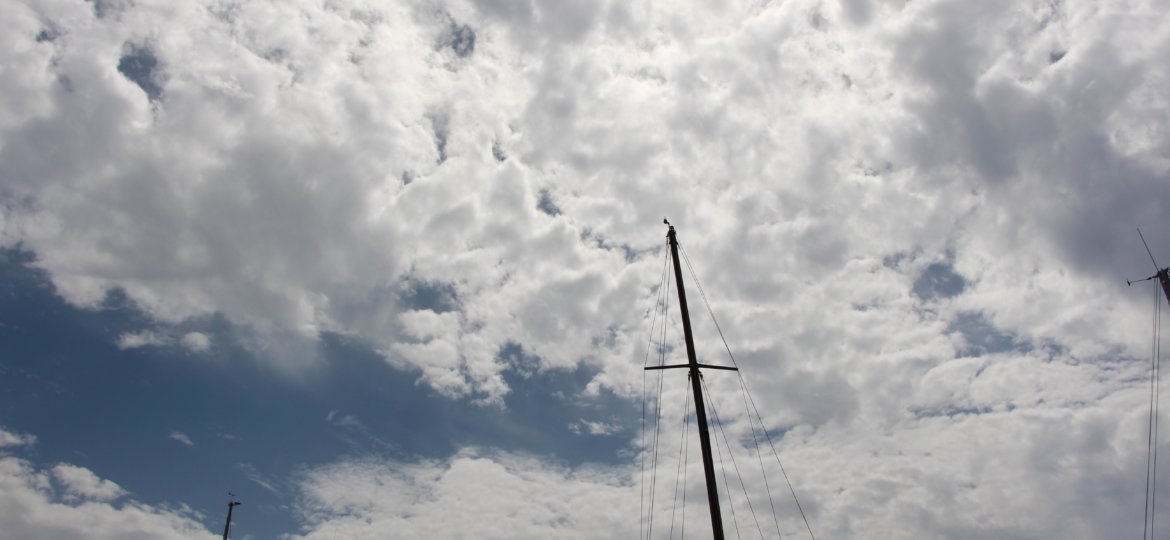 Umanotera-foto web