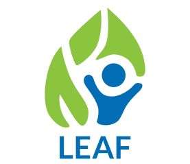 LEAF