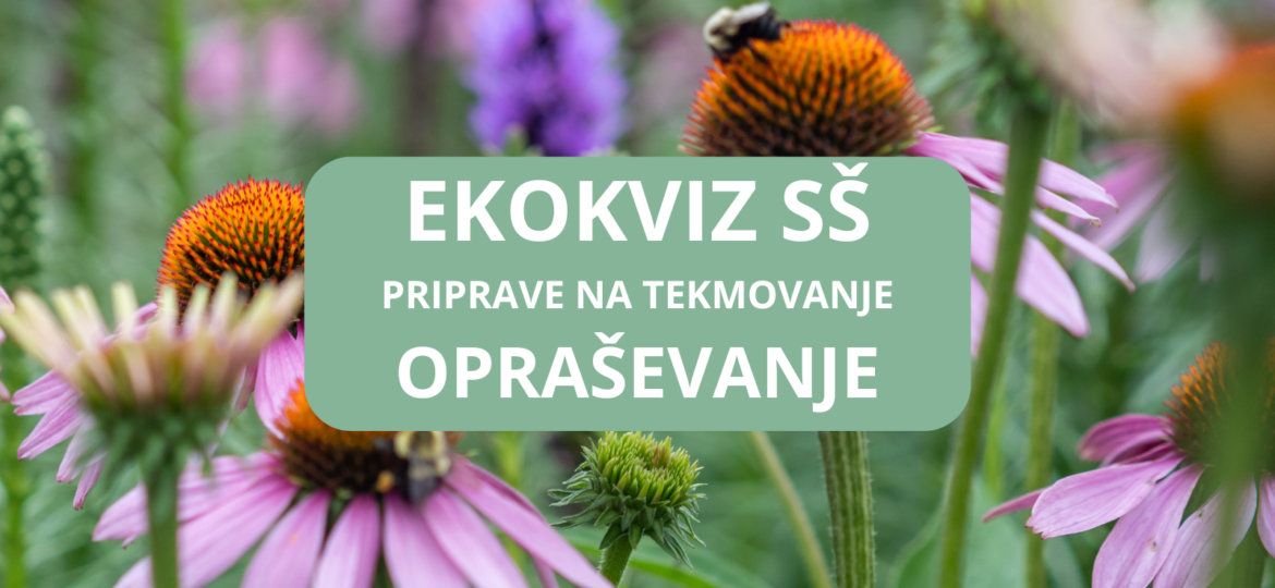 Ekokviz OŠ(7)