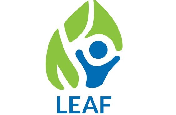 LEAF