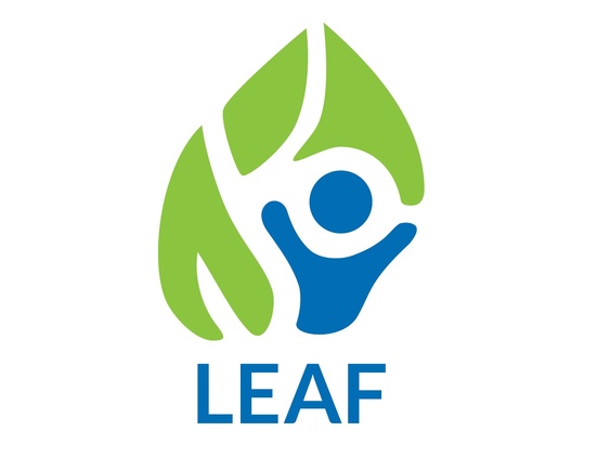 LEAF