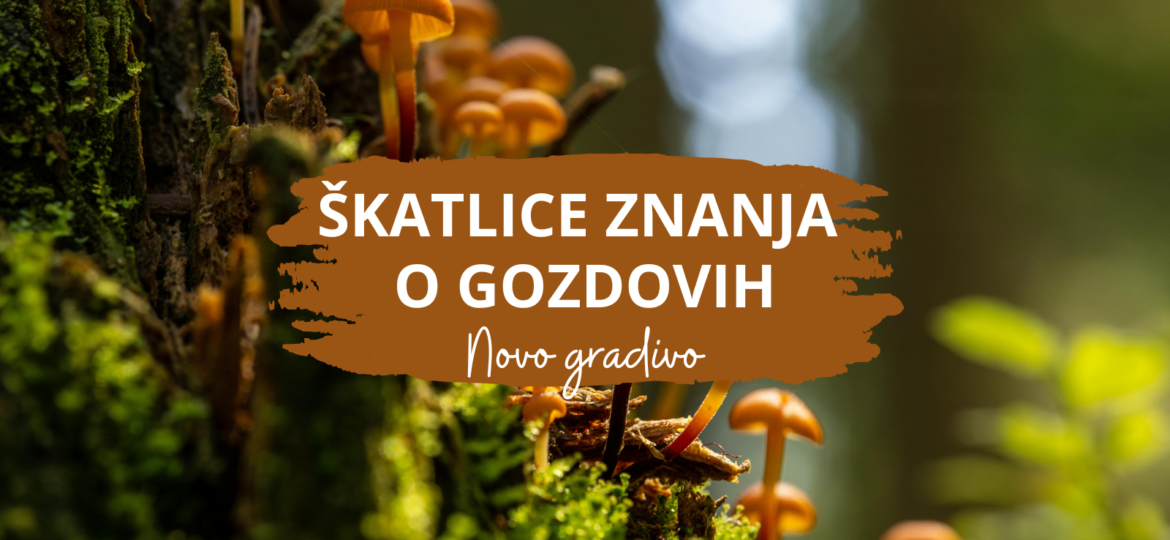 Naslovne(23)